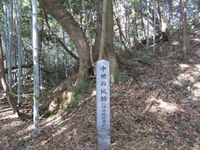 IseIchibajou011.jpg