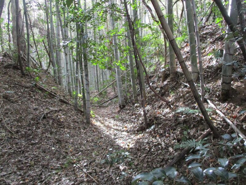 File:IseIchibajou012.jpg