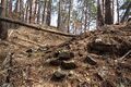 Thumbnail for version as of 13:27, 24 June 2017