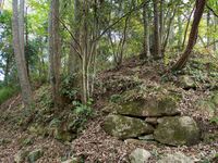 Niitakayama27.jpg