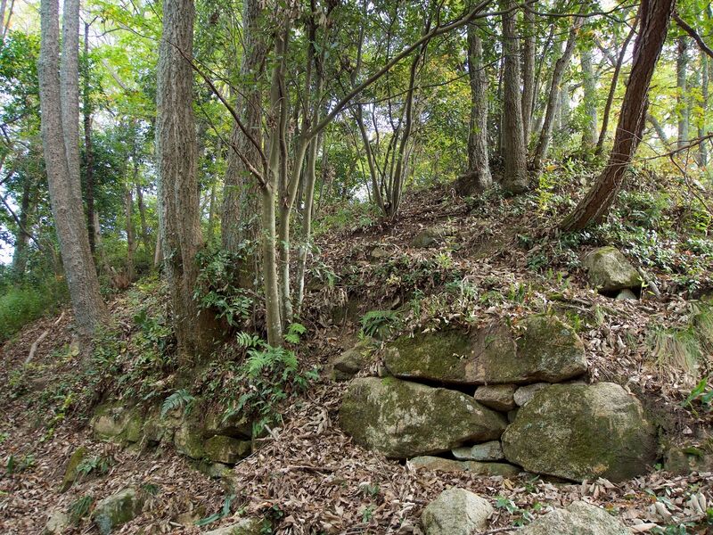 File:Niitakayama27.jpg