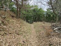 OdaniYamazakiToride (19).jpg
