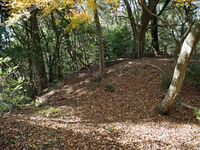 Ohmatsuyama10.jpg