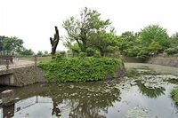 Onabuchi10.jpg