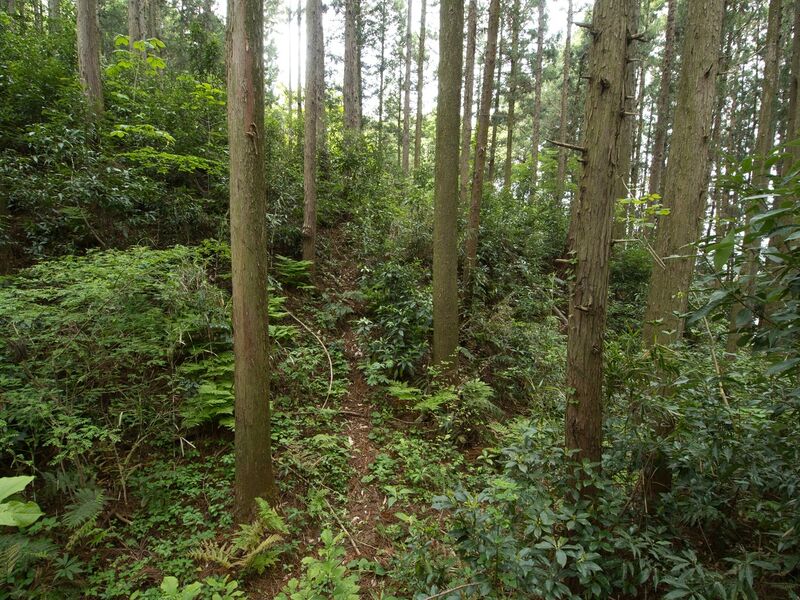 File:Shirahata9.jpg