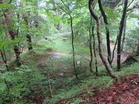 HidaTakayama (17).JPG