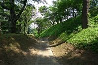 Inawashiro8.jpg
