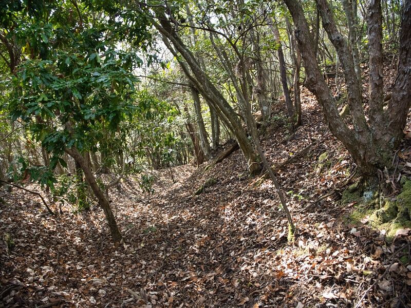 File:Inokurakyoto27.jpg