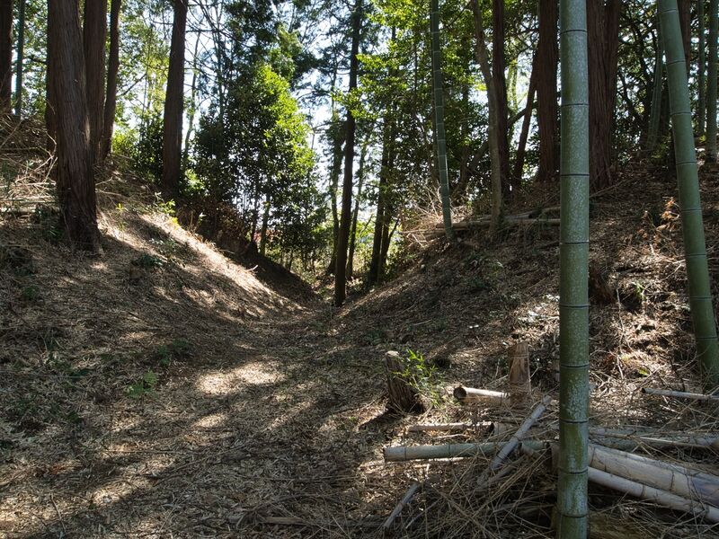 File:Kokashimoyama18.jpg