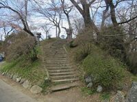 Tanagura8.jpg