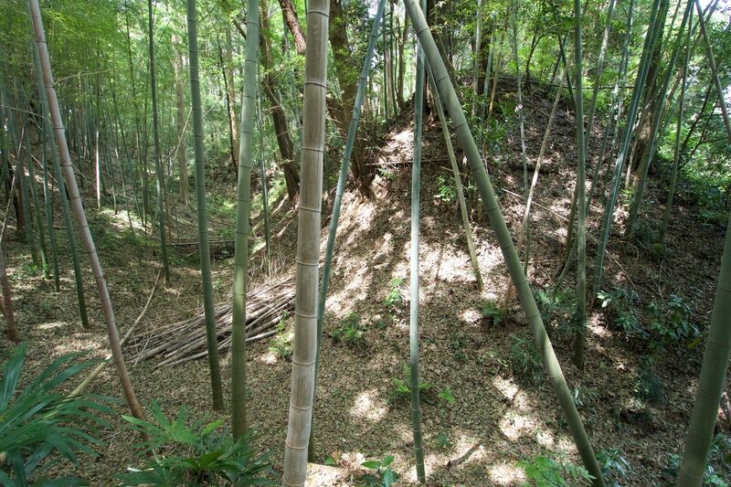 File:Ushiku11.jpg