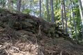 Thumbnail for version as of 13:24, 24 June 2017