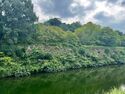Himejimiddlemoat40.jpg