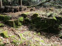 HyakusaijijouA35.JPG