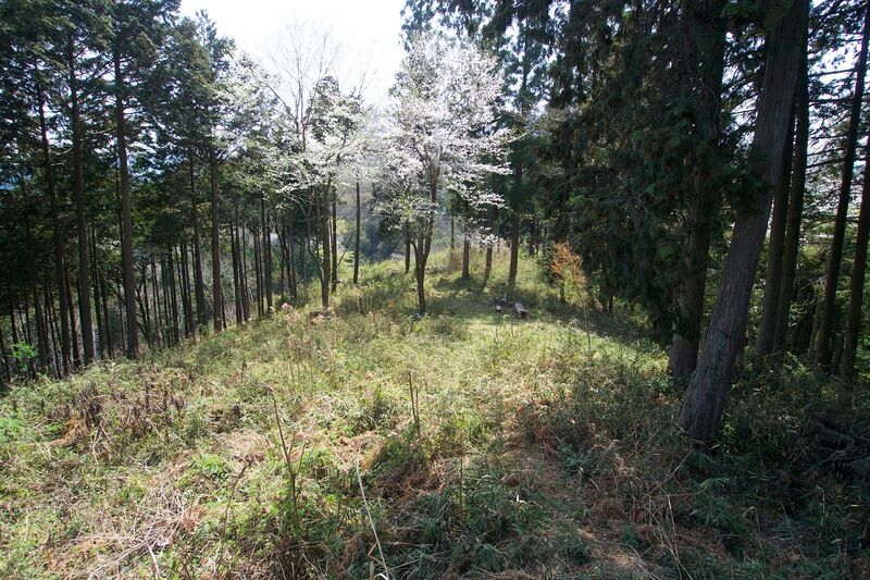 File:Kanaoyogaisan2.jpg