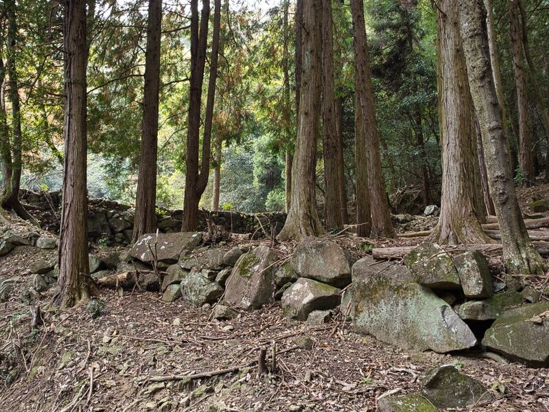 File:Kohyama61.jpg