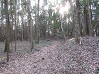 MinamiSakaidejou (24).JPG