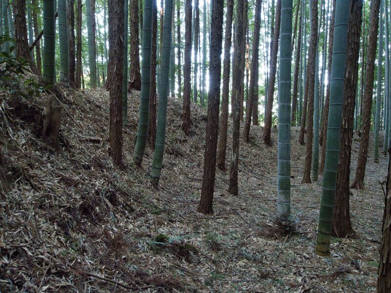 File:Mochizukikoka29.jpg