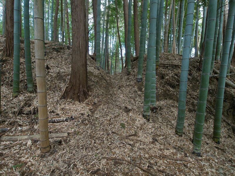 File:Mochizukishikoka25.jpg