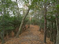 Nakaokyoto14.jpg