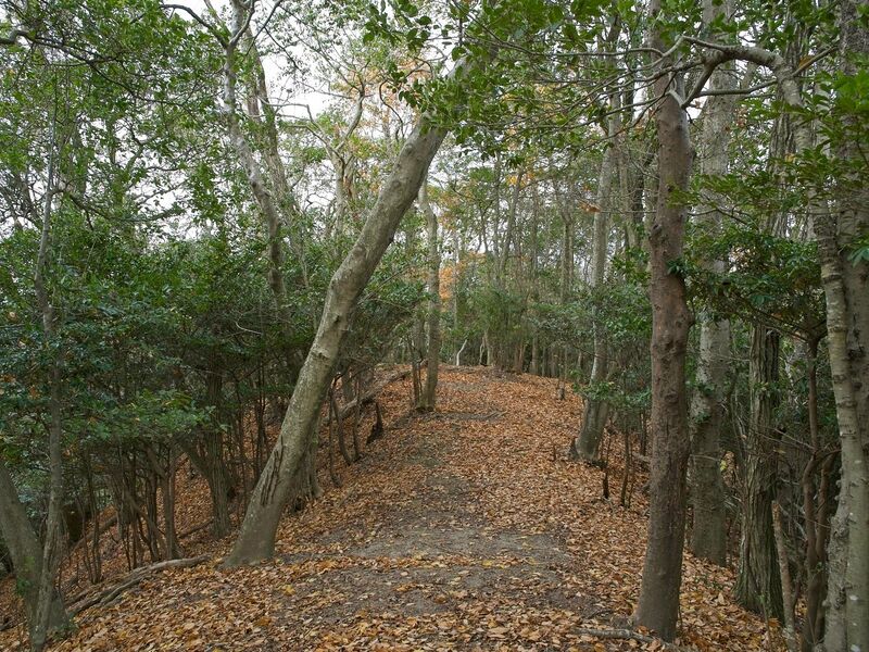 File:Nakaokyoto14.jpg