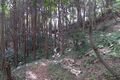 Thumbnail for version as of 13:29, 24 June 2017