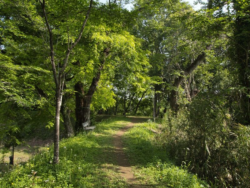 File:Ohtawara10.jpg