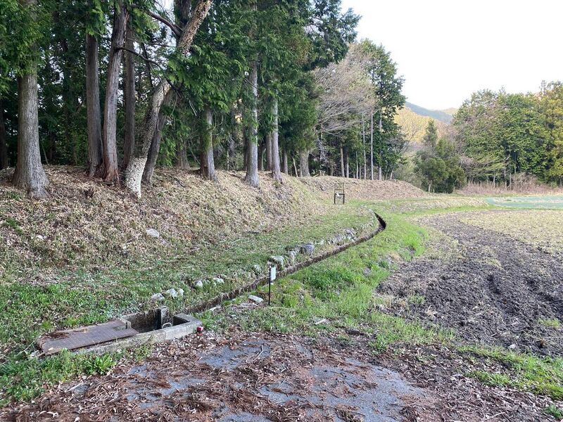 File:SakuraborajouChris (6).jpg