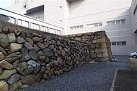Takamatsu37.jpg