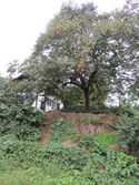 ChikumaNakajouYakata (6).JPG