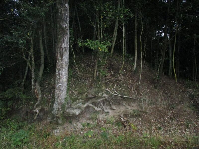 File:Goudojou 001.jpg