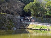Hikone72.jpg