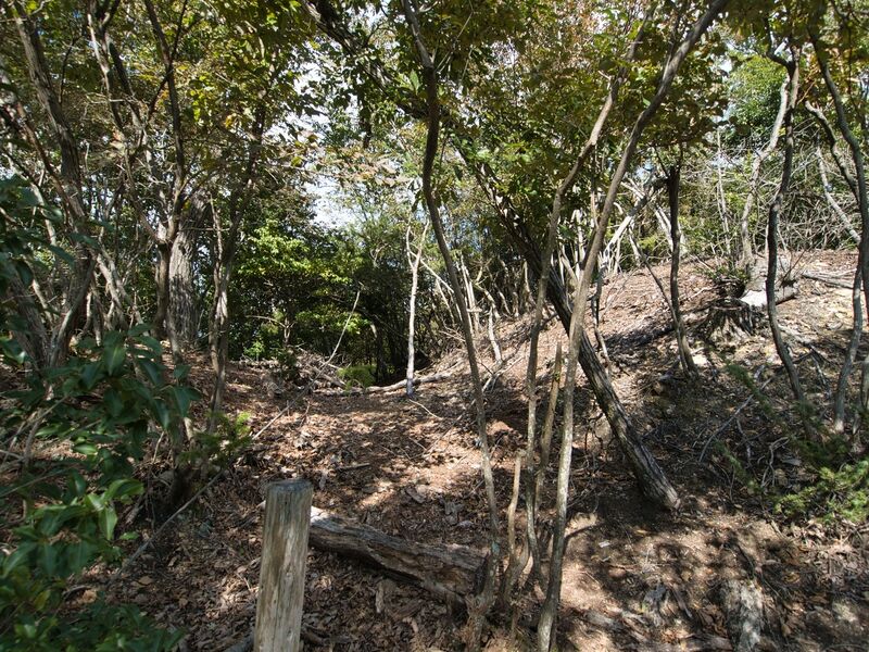 File:Matsugasakikyoto2.jpg