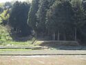 MikawaOrojou (4).JPG