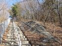 MurakamiKomaruyamaToride (3).JPG