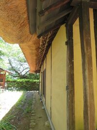 Myogi (9).JPG
