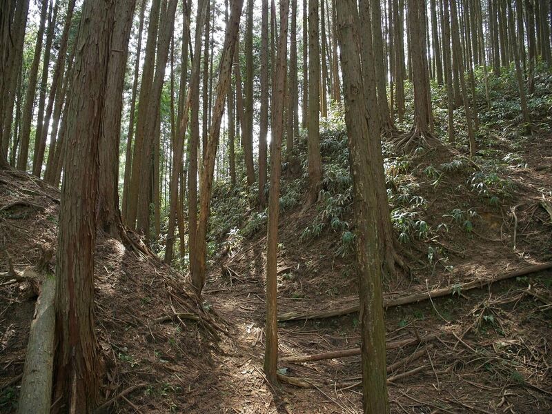 File:Ogawanishinokoka8.jpg