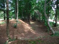 Sakasai7.jpg