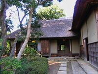 Sakura57.jpg