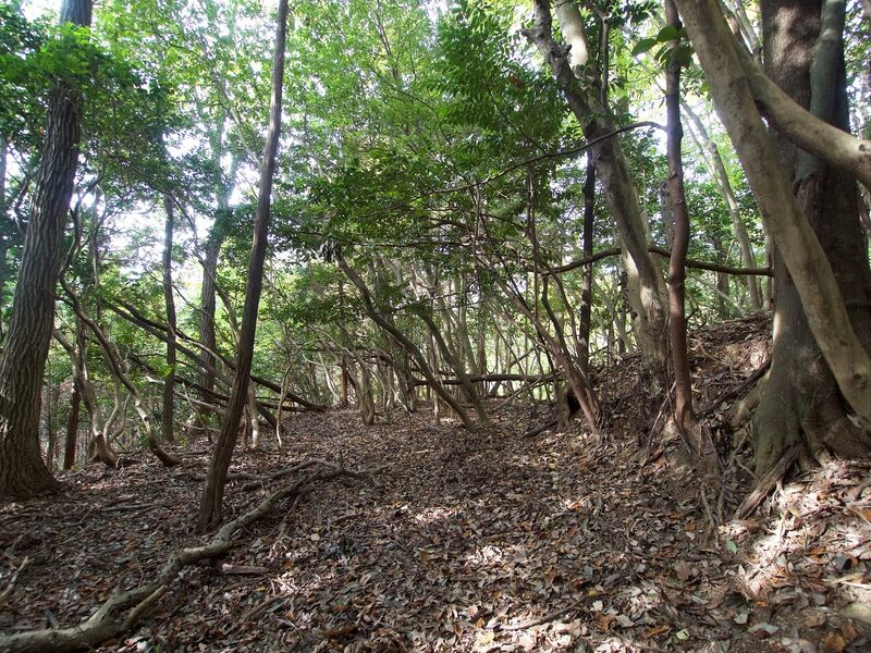 File:TenjinyamaHiroshima4.jpg