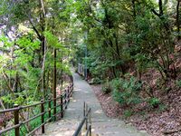 Gifu7.jpg