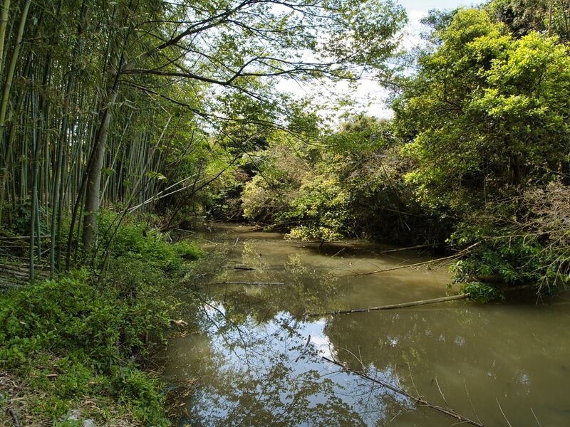 File:Inoueyakatashiga13.jpg