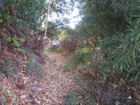 KoikeToride (5).JPG