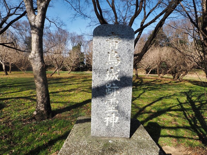 File:Odori24.jpg