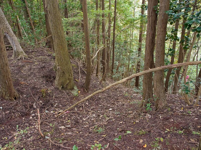 File:Okudanitanba18.jpg