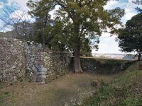 Tamaru2025 19.jpg