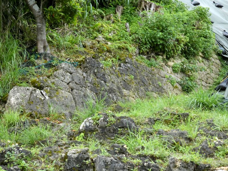File:Urasoe Gusuku 201 Ishigaki South Side.jpg