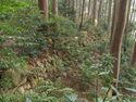 Azuchi east29.jpg