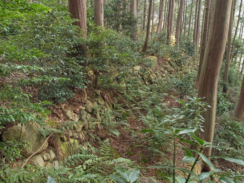 File:Azuchi east29.jpg