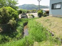 GamouTsuda (2).JPG
